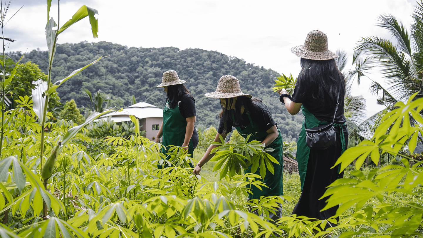 A sustainable future with Discova