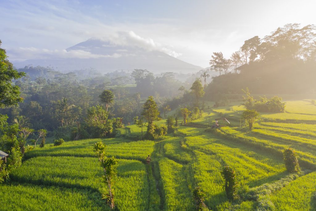 Bali rice terraces and mountain