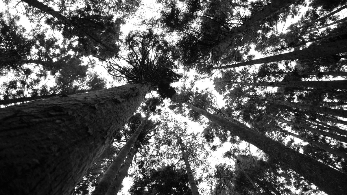 Five Tips for Sustainable Travel after COVID19 Discova