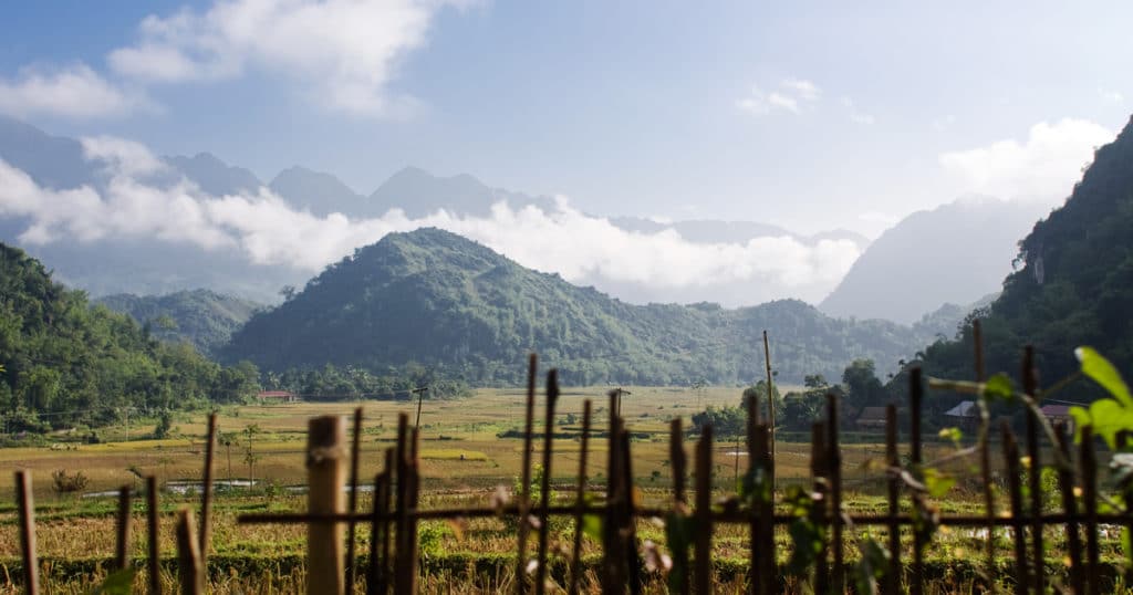 Phu Long View