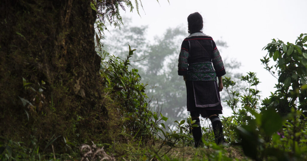 Local Hmong guide trekking in Northern Vietnam with Discova