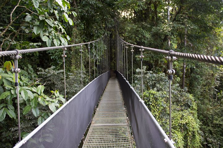 Costa Rica Arenal Hanging Bridge