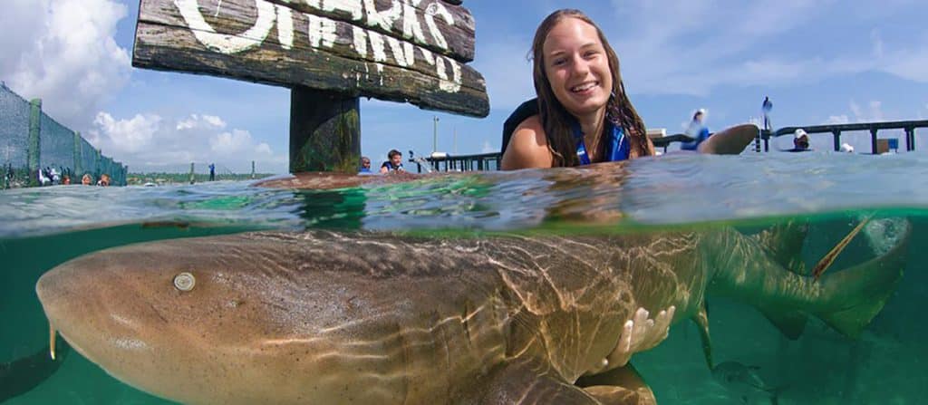 Shark with woman