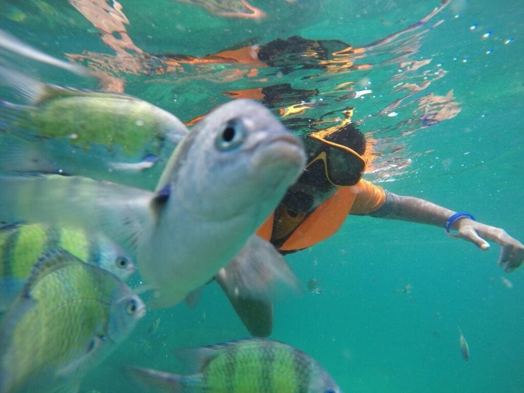 Snorkeling in Phuket