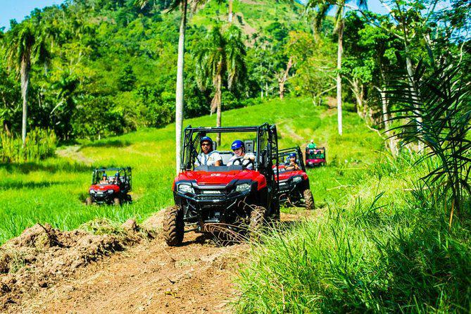 Terracross buggie