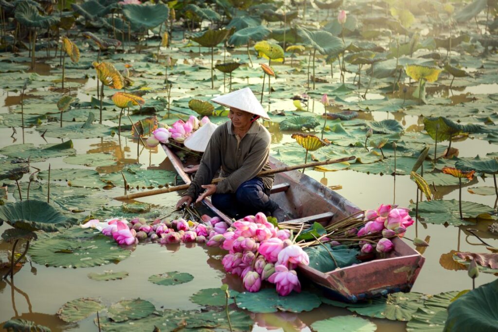 Vietnam Hoi An woman collecting flowers