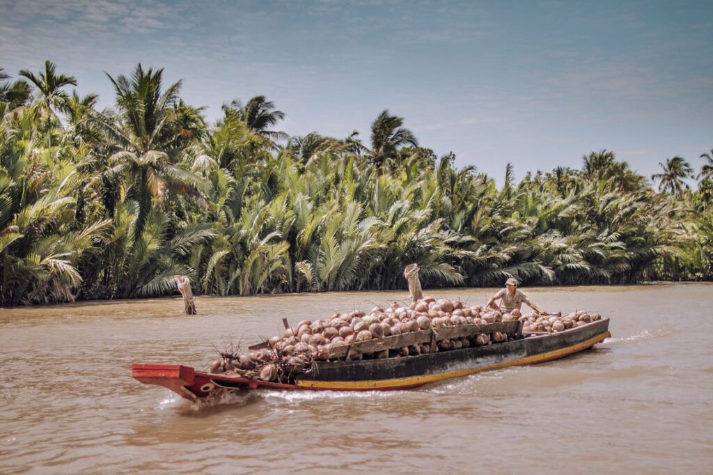 Coconut boat Mekong Delta