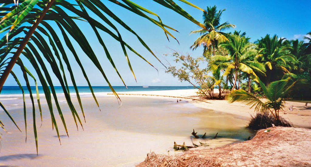 Beach in Dominican Republic