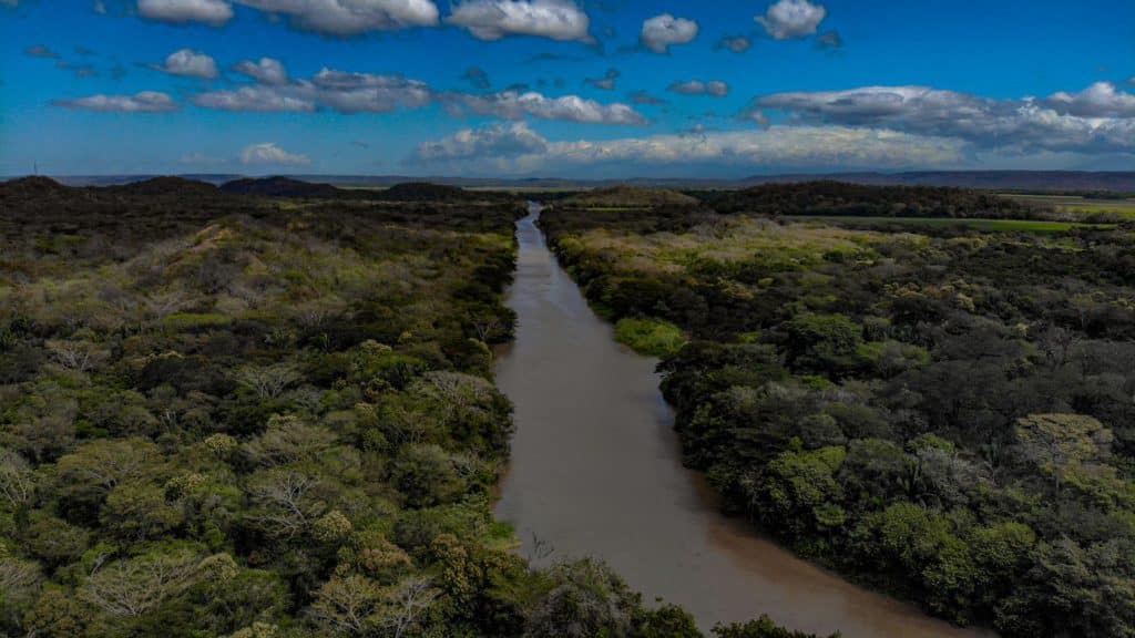 Palo Verde national park