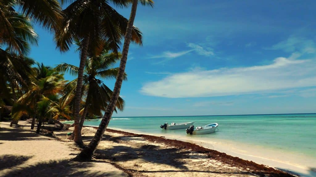 Saona island