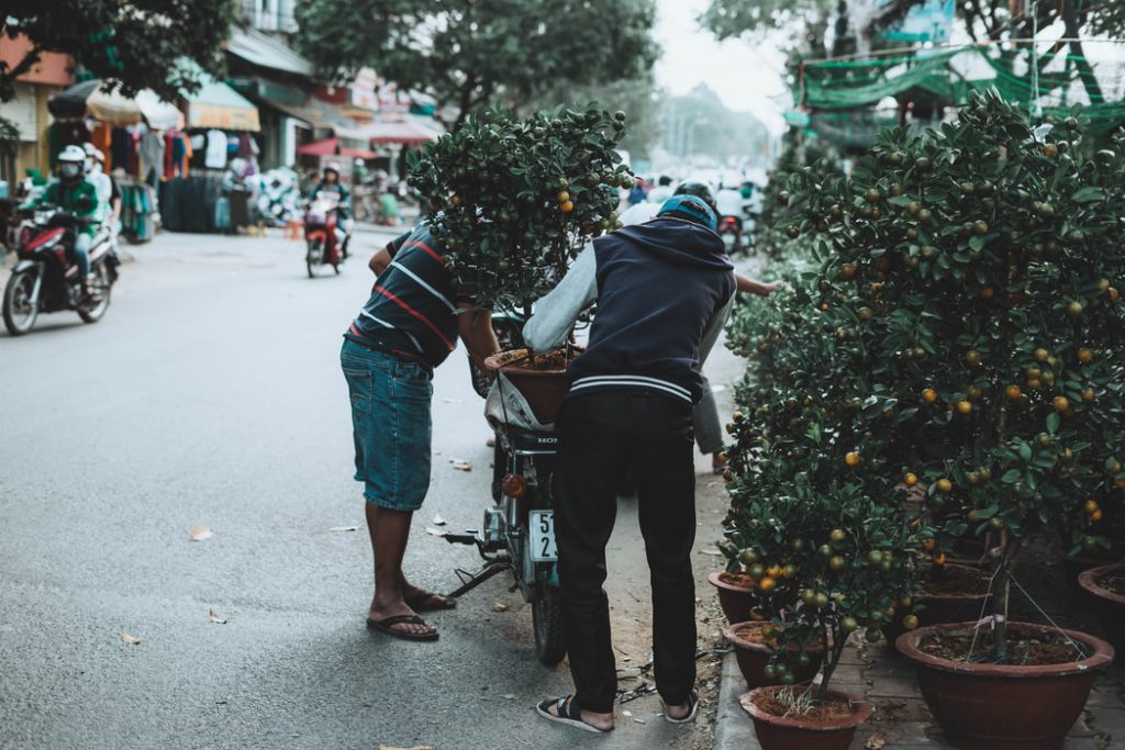 tet tree