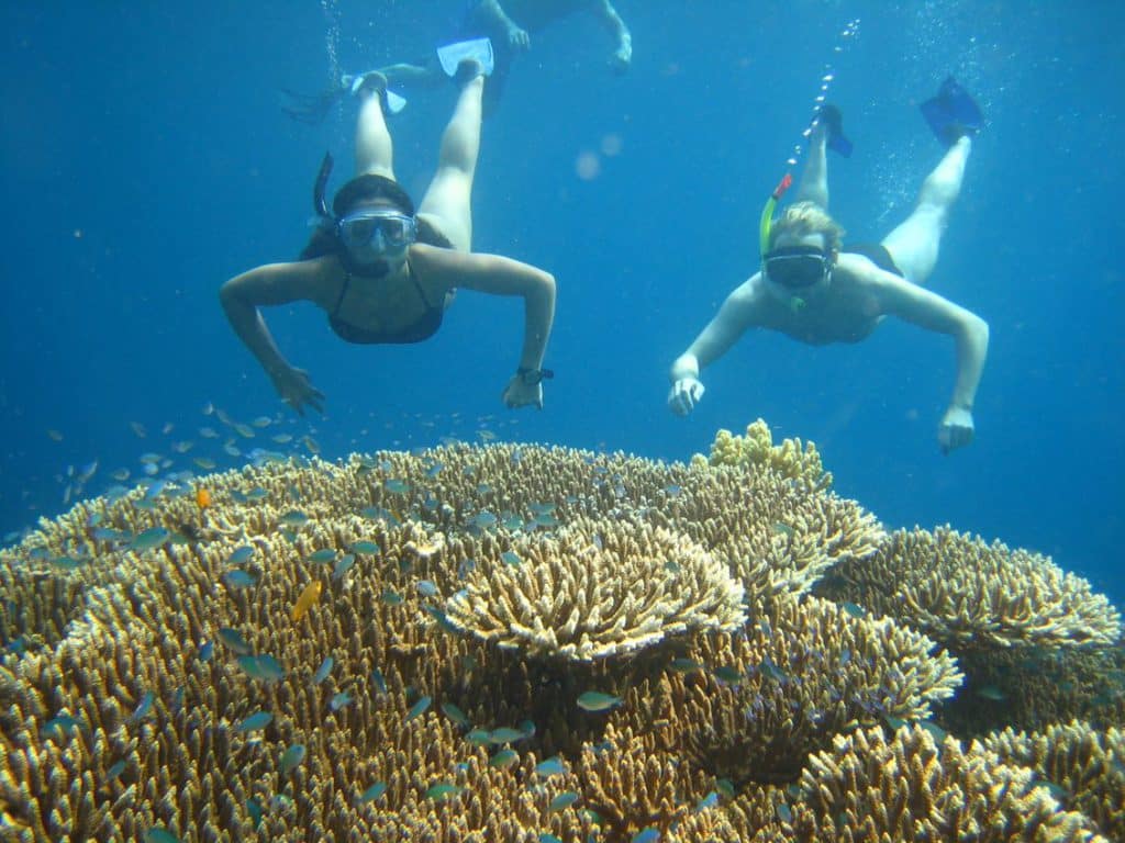 snorkelling