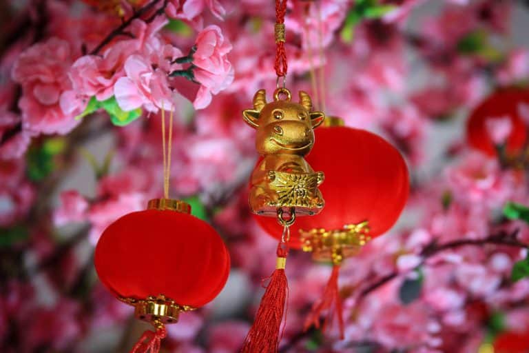 Year of the ox