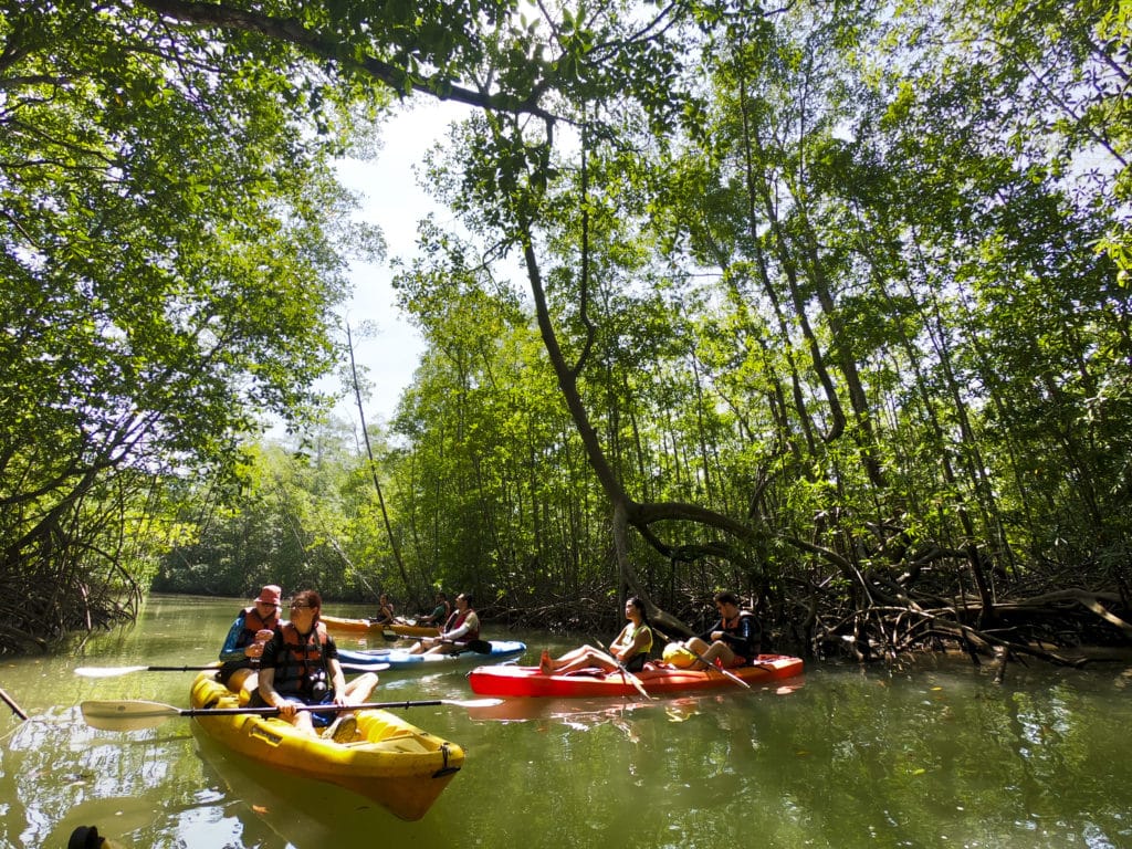 damas island kayaking