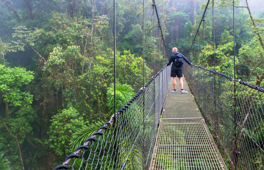 Hanging bridges wildlife tour