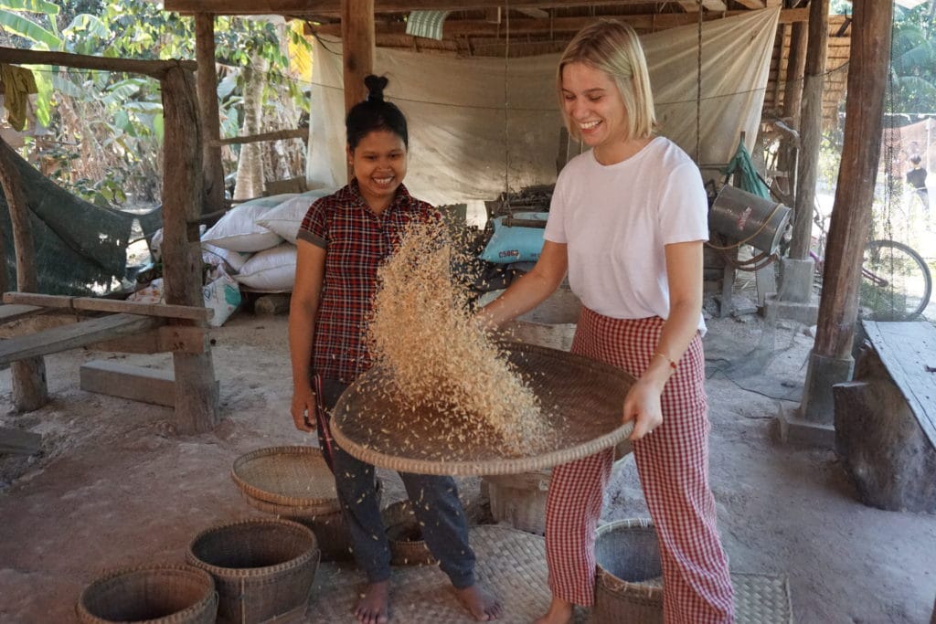 rice threshing