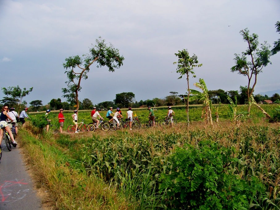 Cycling tour