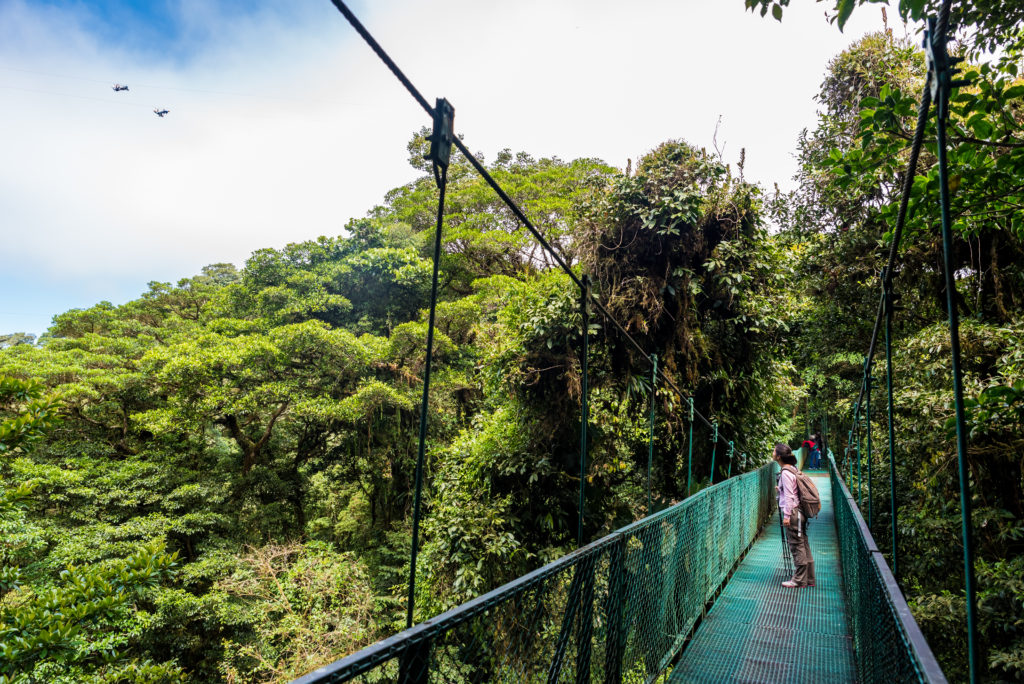 Monteverde cloud forest