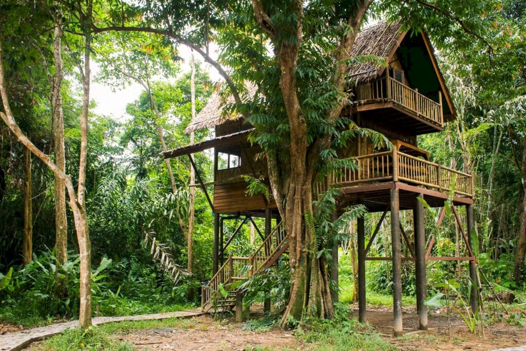 Double-story treehouse Khao Sok