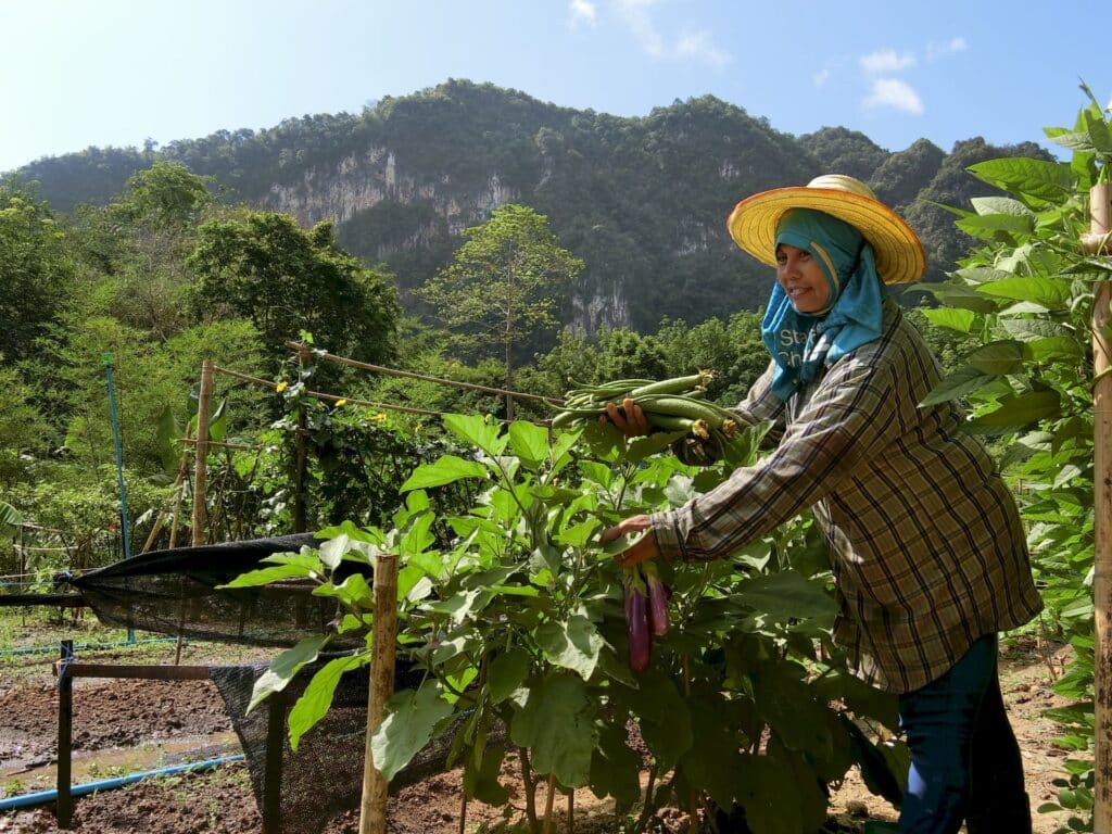 Organic farm