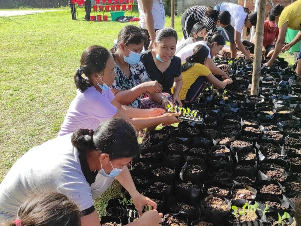 Planting organic seeds