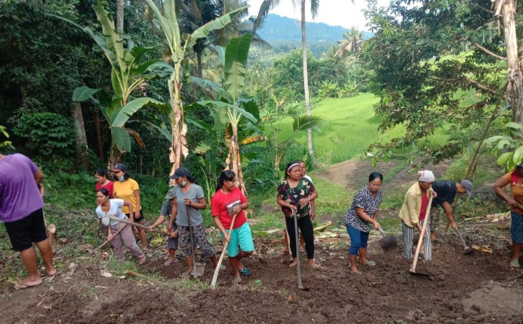 Planting produce farm-to-table project