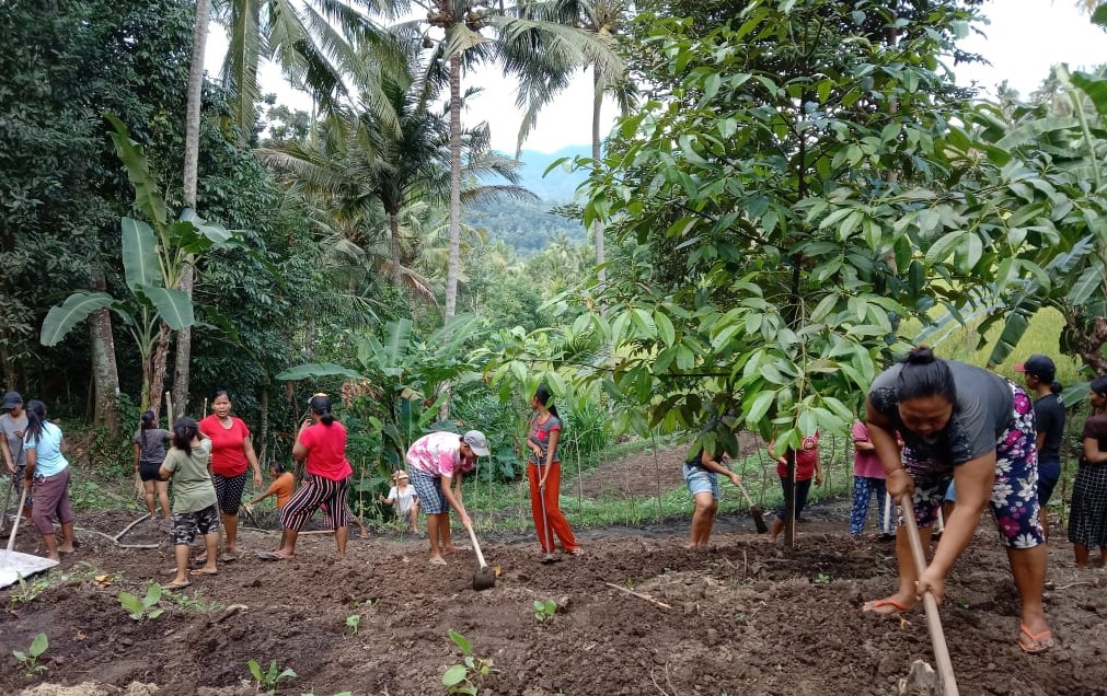 Manggis Part II: Checking in on Our Exciting Farm-to-Table Project in Bali