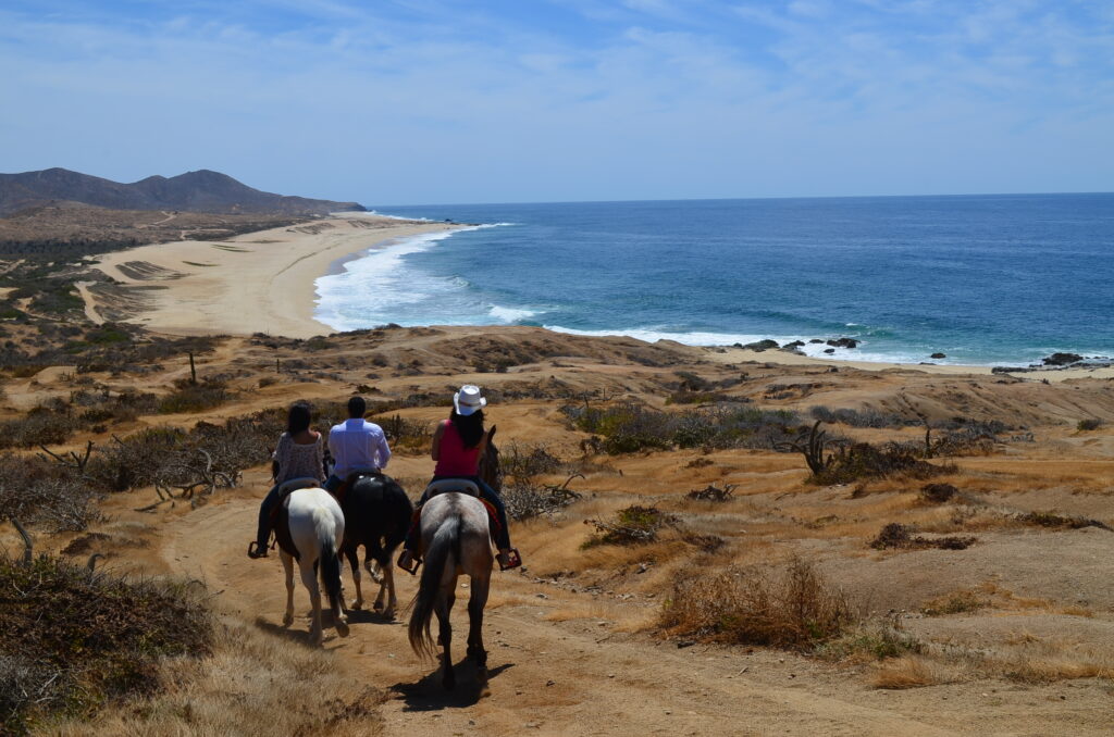 Horseback riding Los Cabos active travel