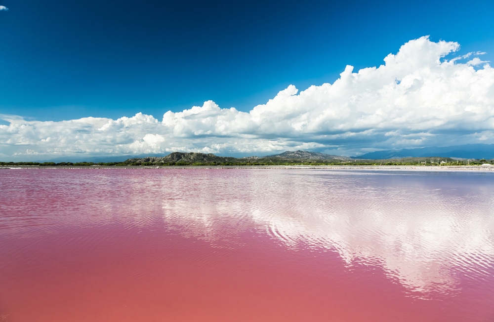 pink saltwater Las salinas