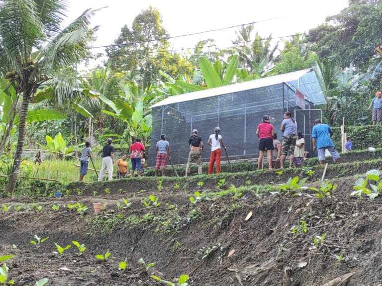 farm-to-table project