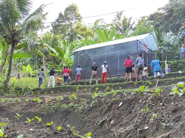 farm-to-table project