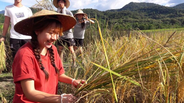 Vietnam educational tour