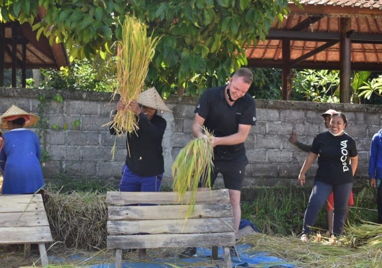 Rice farming Manggis, Bali