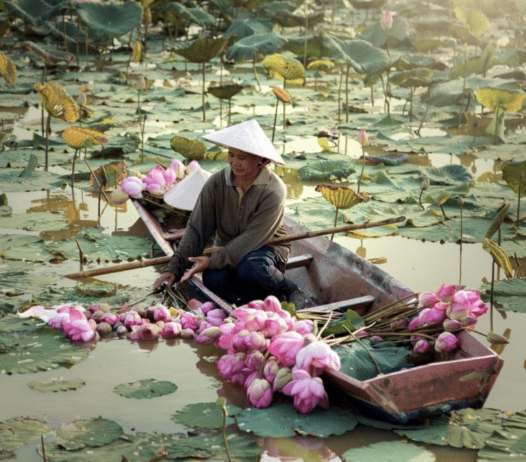 Vietnam