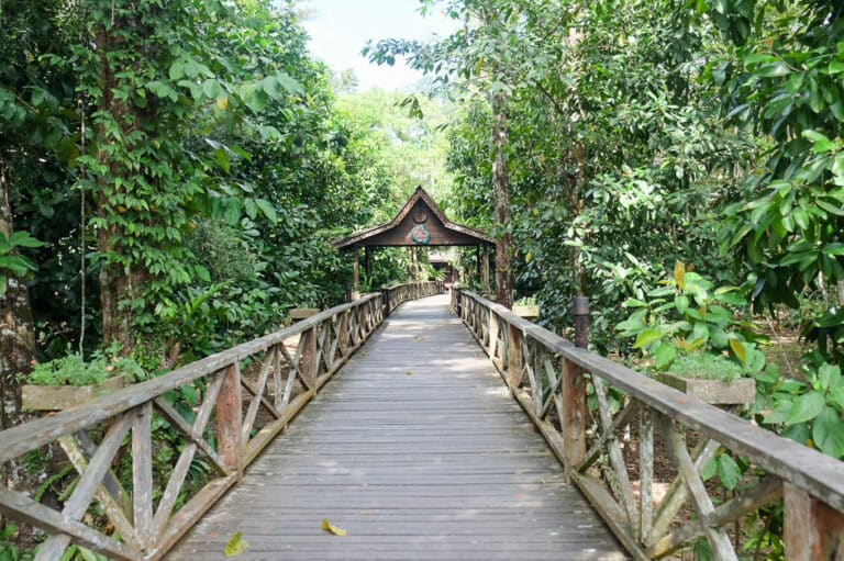 Award-winning Sukau Rainforest Lodge, Borneo, Malaysia