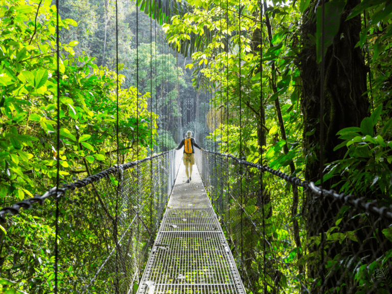 Cloud Forest, Costa Rica