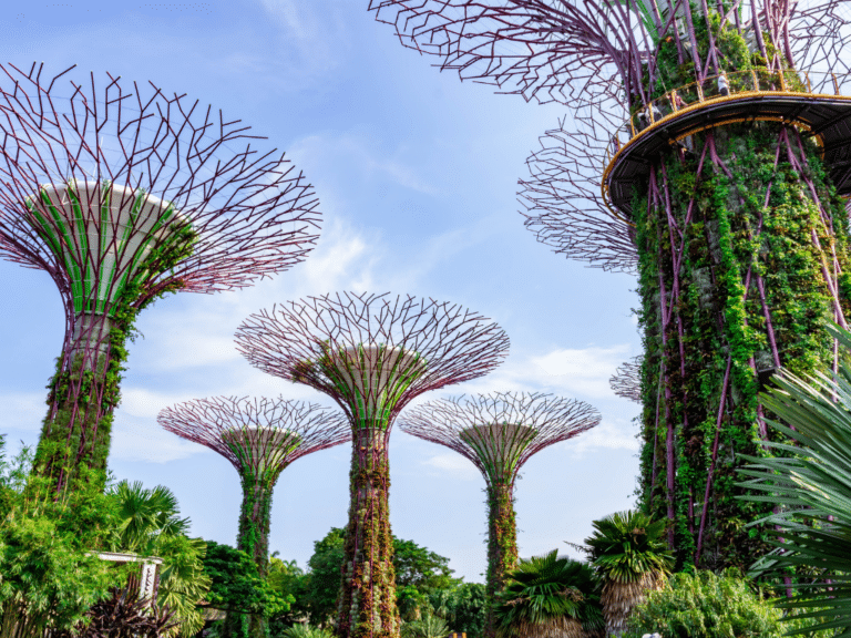 Gardens by the Bay