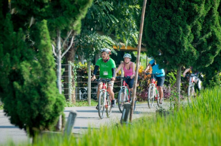 Chiang Mai countryside cycling tour