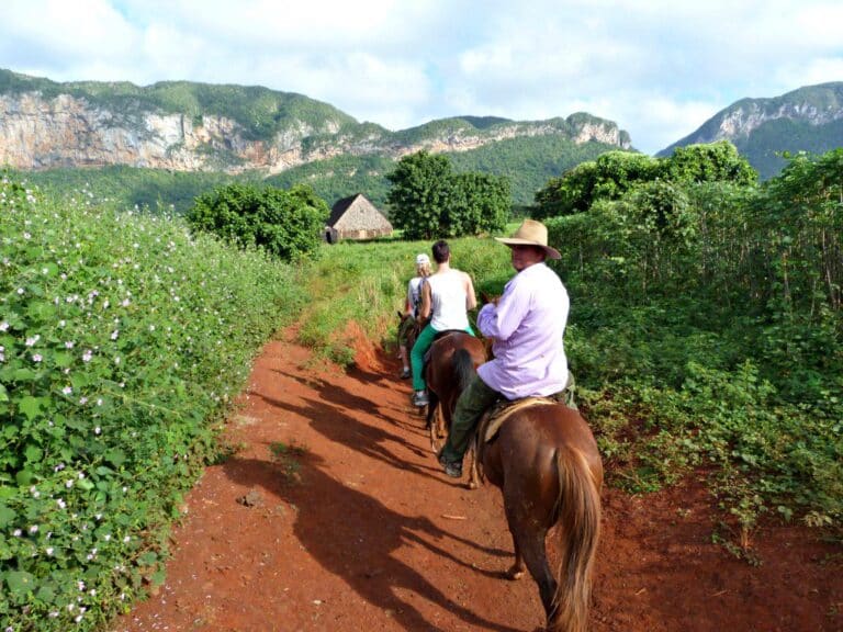 Vinales Valley on horseback, with Discova
