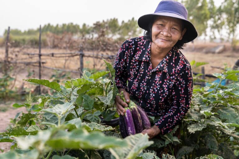 Local farming experience in Trei Nhoar, Cambodia