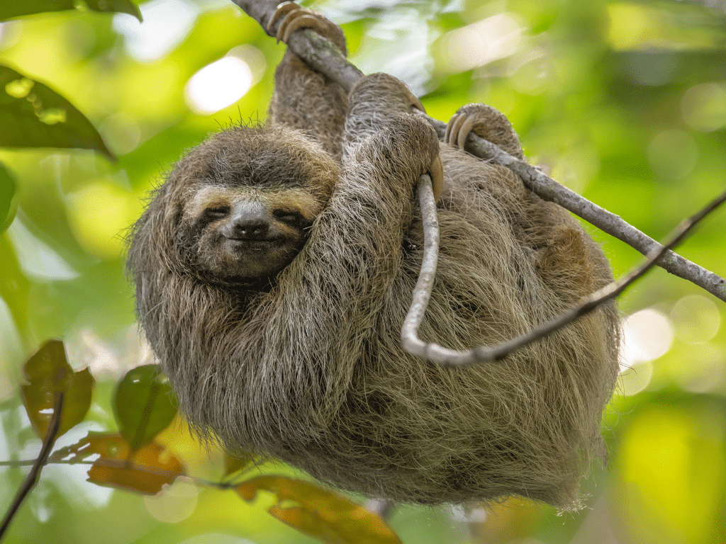 Educational Travel in Costa Rica