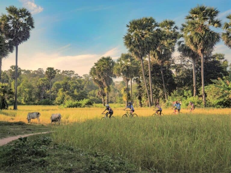 A day cycling e-bike tour around Siem Reap's countryside, Cambodia