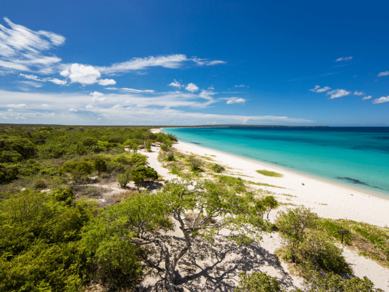 Bahia de las Aguilas, Dominican Republic