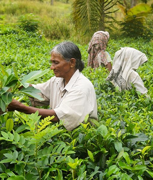 sri-lanka