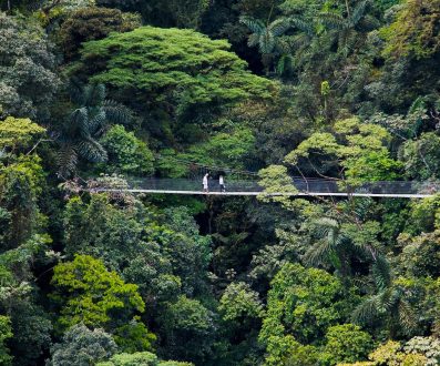 Discova Costa Rica - Essentials -Arenal - Hanging Bridges National Park
