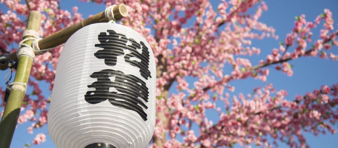 Japanese lantern and cherry blossom