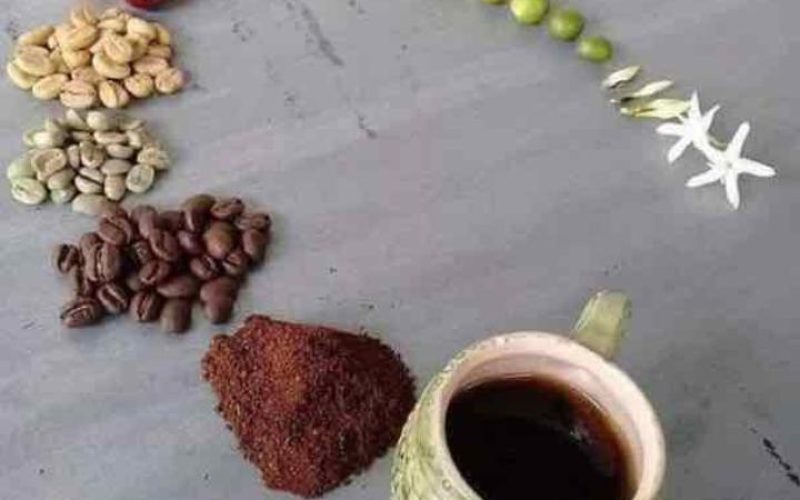 from bean to cup